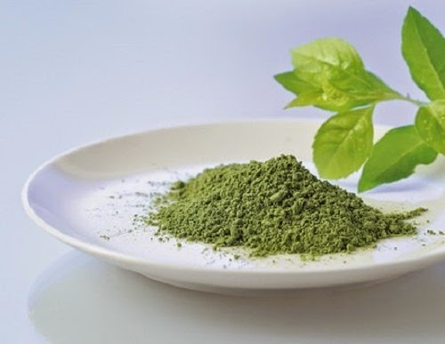 Mua bột trà xanh nhật bản ở đâu hà nội