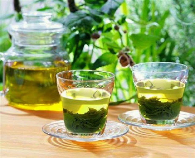 ​Bột Trà Xanh Lidota giảm nguy cơ mất trí nhớ