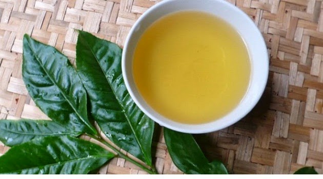 Đối tượng nào không nên dùng bột trà xanh